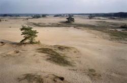 De Veluwe, landschap ontstaan tijdens de ijstijd.