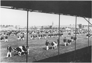 Veekeuring Leeuwarden